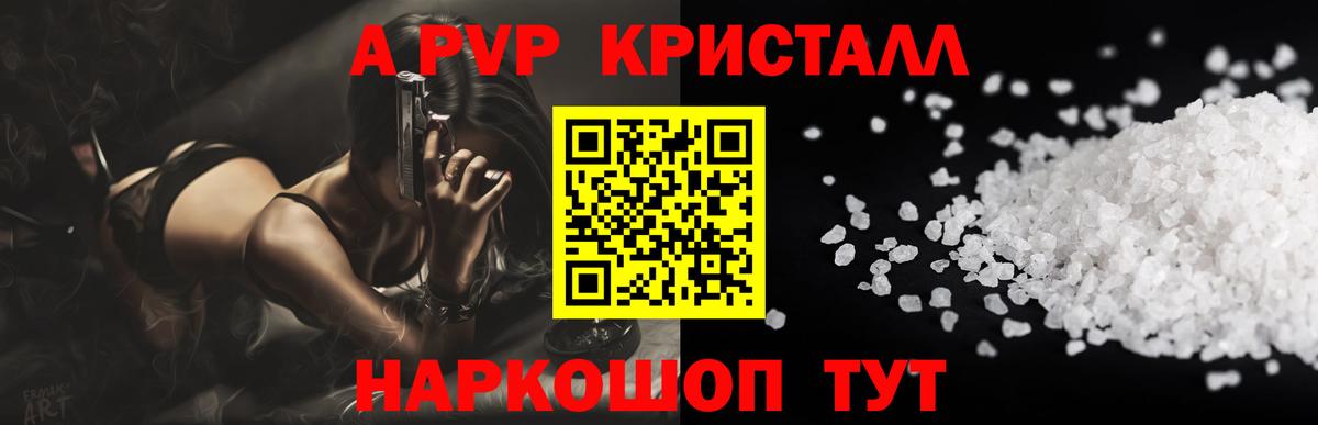 Альфа ПВП СК Дальнегорск