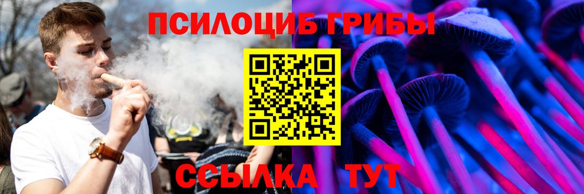 Дальнегорск  Галлюциногенные грибы Psilocybine cubensis  Вход с VPN 